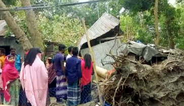 কিশোরগঞ্জে ঝড়ে গাছ পড়ে ৫ বছরের ছেলেসহ অন্তঃসত্ত্বা নিহত