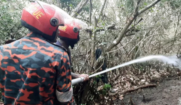 সুন্দরবনের আগুন নিয়ন্ত্রণে কাজ করছে ৫ বাহিনী