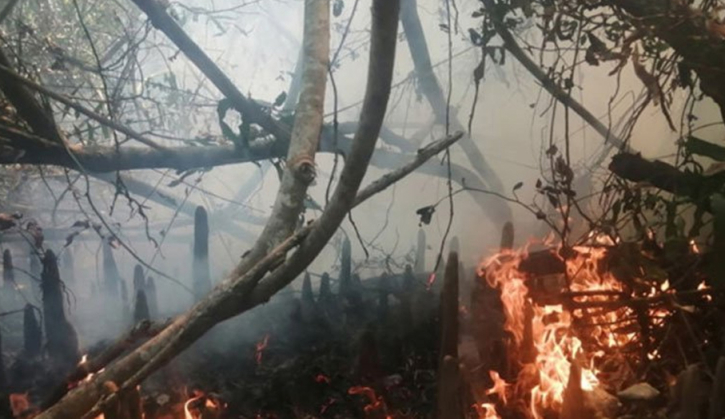 পূর্ব সুন্দরবনের আগুন, বনবিভাগ ও এলাকাবাসী নেভাতে কাজ করছে